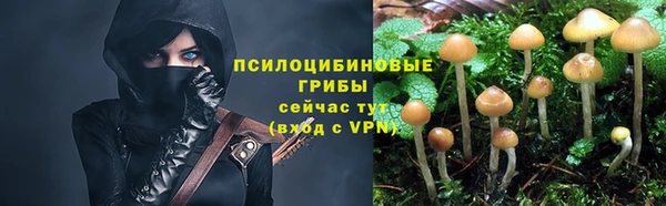 MESCALINE Аркадак