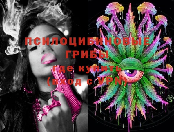 шишки Баксан