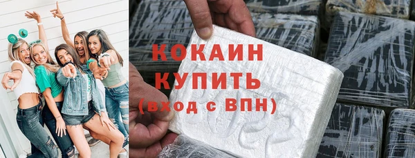 индика Навашино
