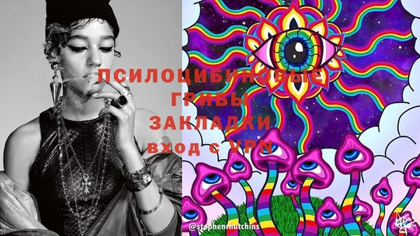 прущий лед Армянск