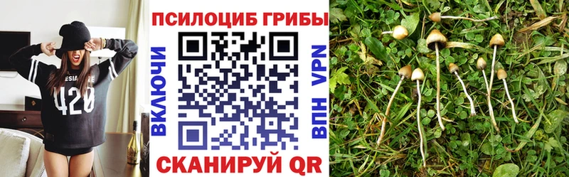 купить закладку  omg онион  Псилоцибиновые грибы Magic Shrooms  Петровск 