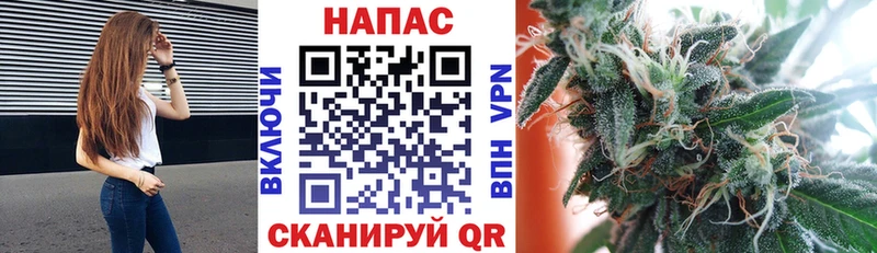 купить  сайты  Петровск  МАРИХУАНА OG Kush 